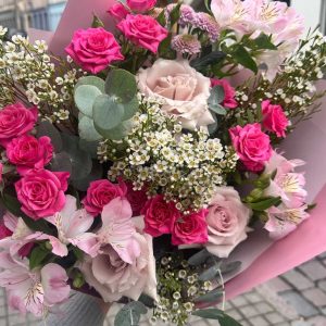 Pinkis ir Makaulė