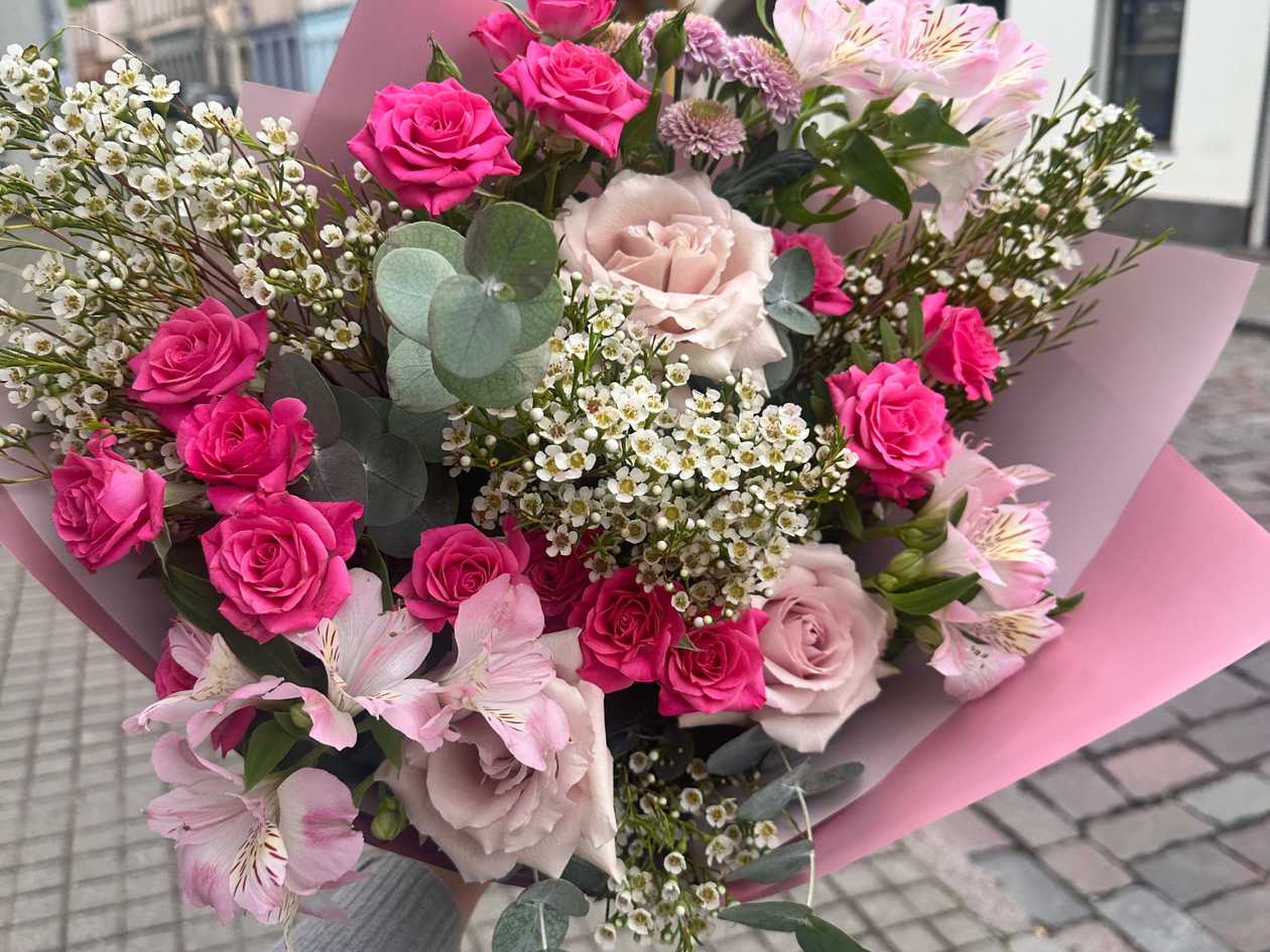Pinkis ir Makaulė